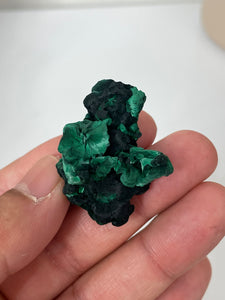 1 x Raw Velvet Malachite Natural High Grade ML088