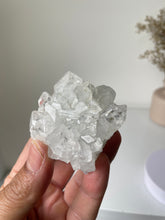 Load image into Gallery viewer, Apophyllite Natural Cluster High-Grade AP738a
