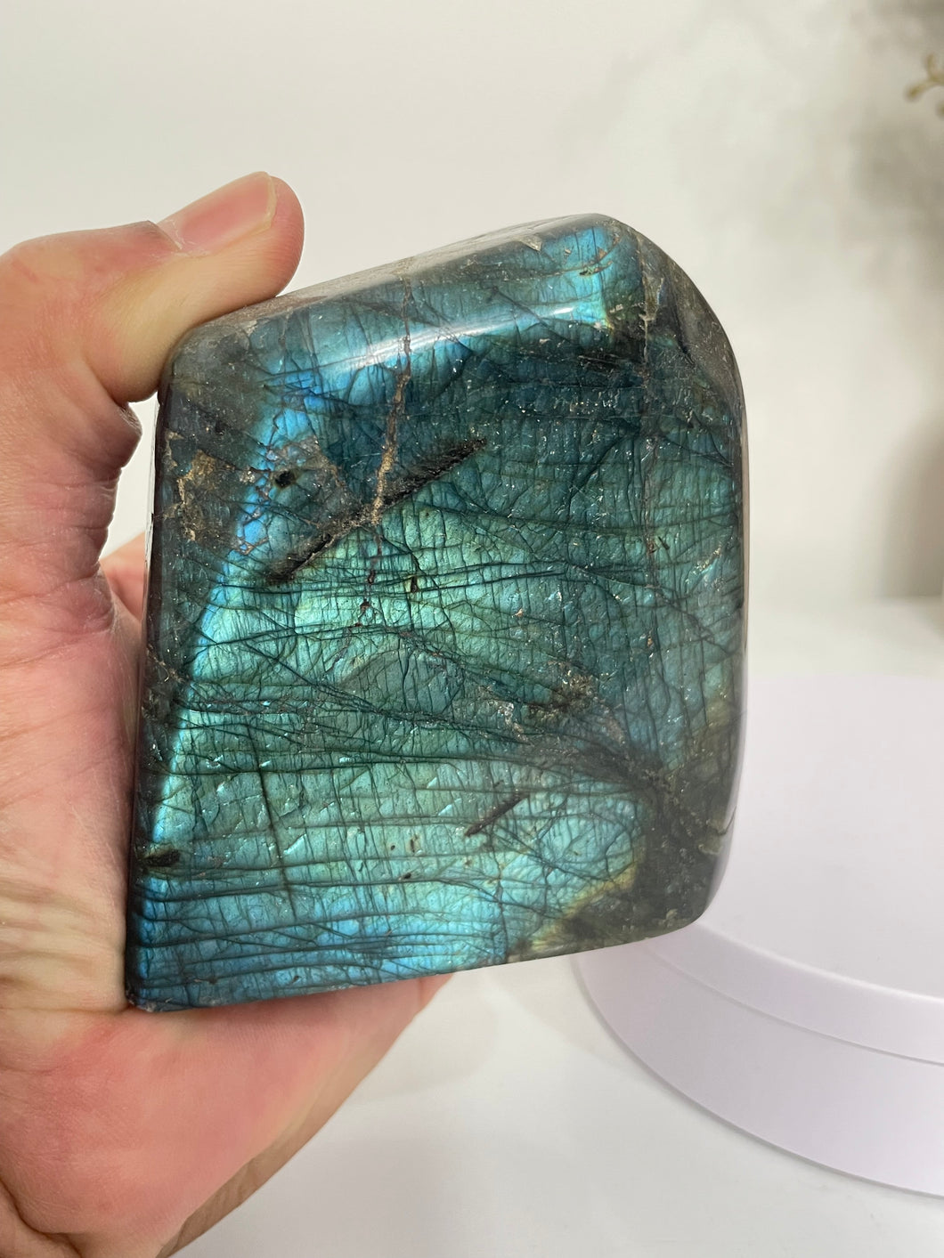 Blue Labradorite Free Form LA146