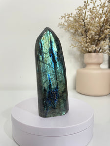 Blue Labradorite Free Form LA149