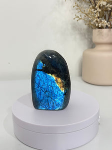 Blue Labradorite Free Form LA154