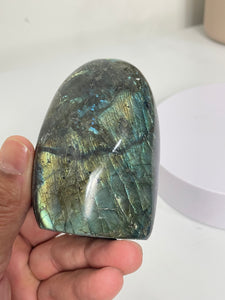 Blue Labradorite Free Form LA154