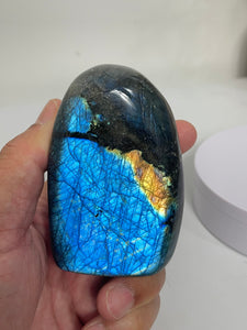 Blue Labradorite Free Form LA154