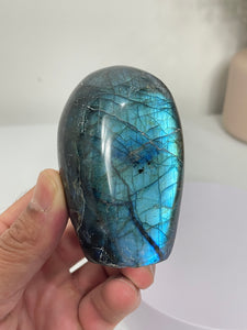 Blue Labradorite Free Form LA155