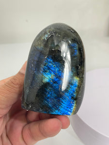 Blue Labradorite Free Form LA156