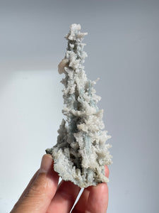 Blue Coral Chalcedony Stalactite Clusters G077