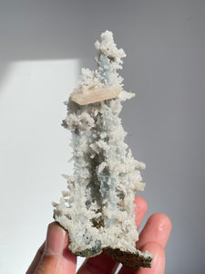 Blue Coral Chalcedony Stalactite Clusters G077