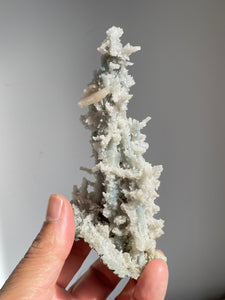 Blue Coral Chalcedony Stalactite Clusters G077