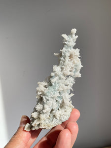 Blue Coral Chalcedony Stalactite Clusters G078