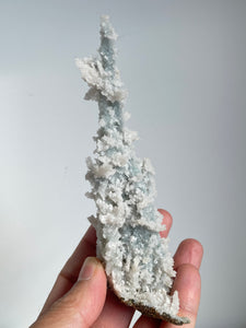 Blue Coral Chalcedony Stalactite Clusters G078