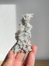 Load image into Gallery viewer, Blue Coral Chalcedony Stalactite Clusters G081
