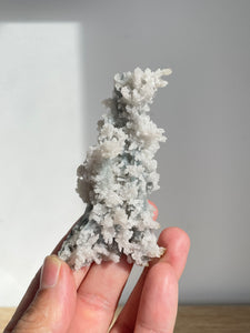 Blue Coral Chalcedony Stalactite Clusters G081