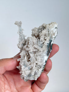 Blue Coral Chalcedony Stalactite Clusters G083