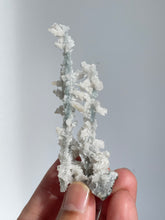 Load image into Gallery viewer, Blue Coral Chalcedony Stalactite Clusters G086
