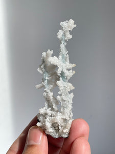 Blue Coral Chalcedony Stalactite Clusters G086