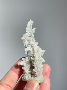 Blue Coral Chalcedony Stalactite Clusters G087