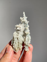 Load image into Gallery viewer, Blue Coral Chalcedony Stalactite Clusters G088
