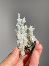 Load image into Gallery viewer, Blue Coral Chalcedony Stalactite Clusters G088
