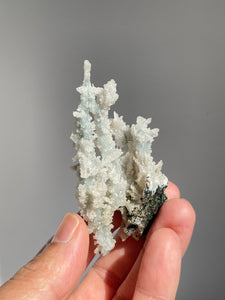 Blue Coral Chalcedony Stalactite Clusters G088