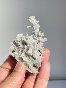 Blue Coral Chalcedony Stalactite Clusters G090