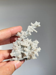 Blue Coral Chalcedony Stalactite Clusters G090