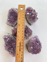 Load image into Gallery viewer, Bulk Lot Amethyst clusters (pack of 5) - K301
