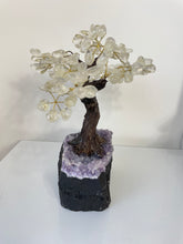 Load image into Gallery viewer, Quartz Gem Tree (L) TR062
