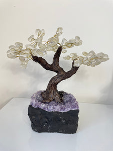 Quartz Gem Tree (L) TR062