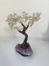 Load image into Gallery viewer, Quartz Gem Tree (M) TR067
