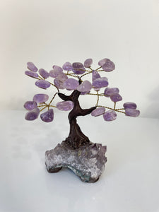 Amethyst Gem Tree (S) TR074