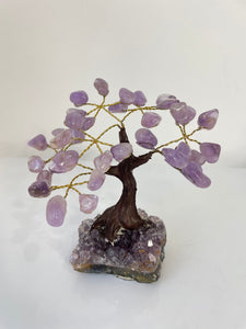 Amethyst Gem Tree (S) TR076