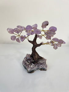 Amethyst Gem Tree (S) TR076