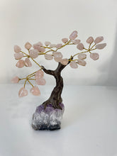 Load image into Gallery viewer, Quartz Gem Tree (S) TR080
