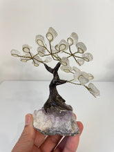 Load image into Gallery viewer, Quartz Gem Tree (S) TR079
