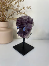 Load image into Gallery viewer, Amethyst High-Grade on Stand Natural Crystal Cluster A337
