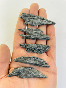 1 x Black Kyanite Natural Crystal RW17