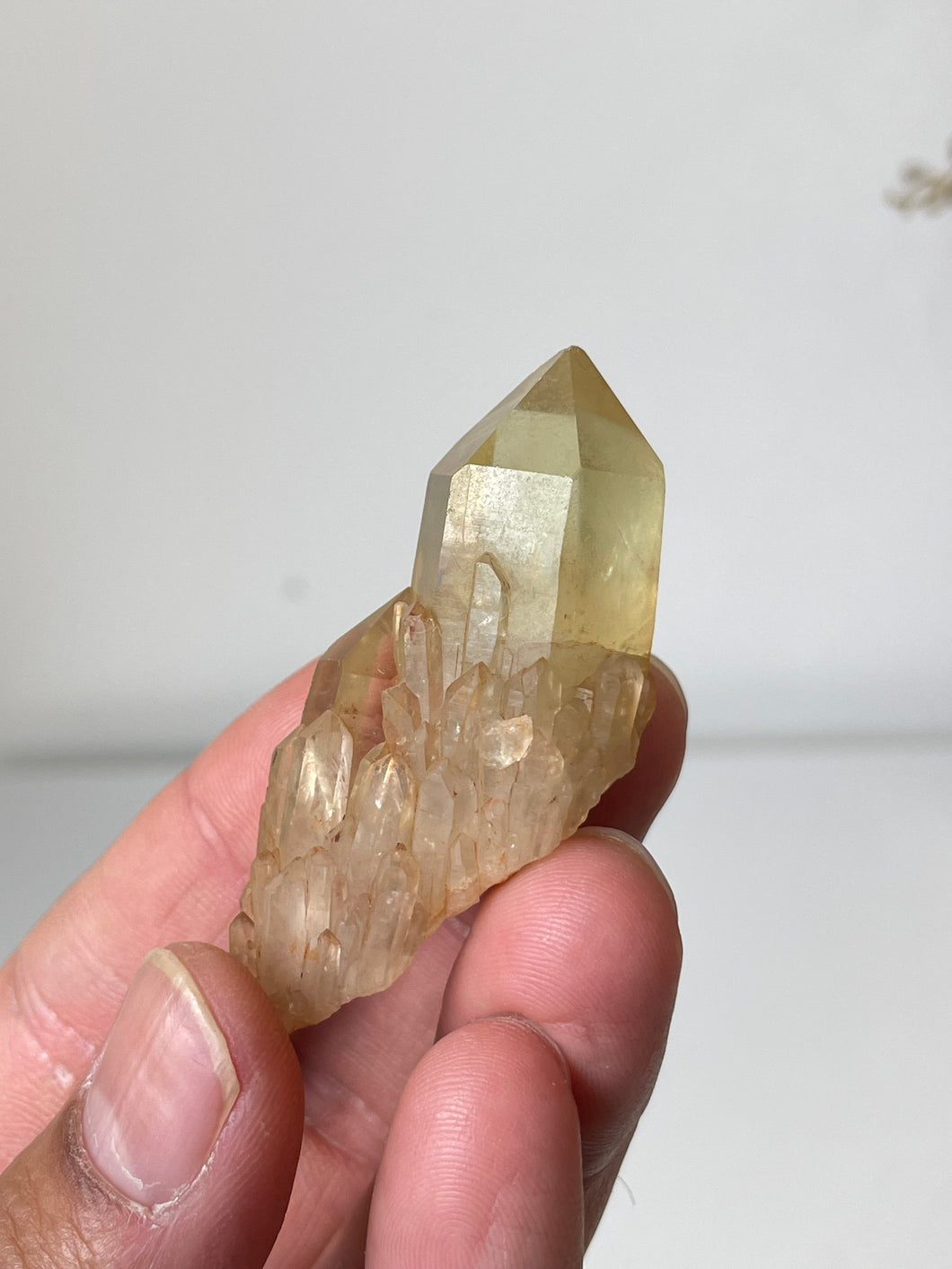 Natural Kundalini Citrine Congo Crystal Cluster C015