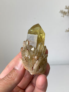 Natural Kundalini Citrine Congo Crystal Cluster C020