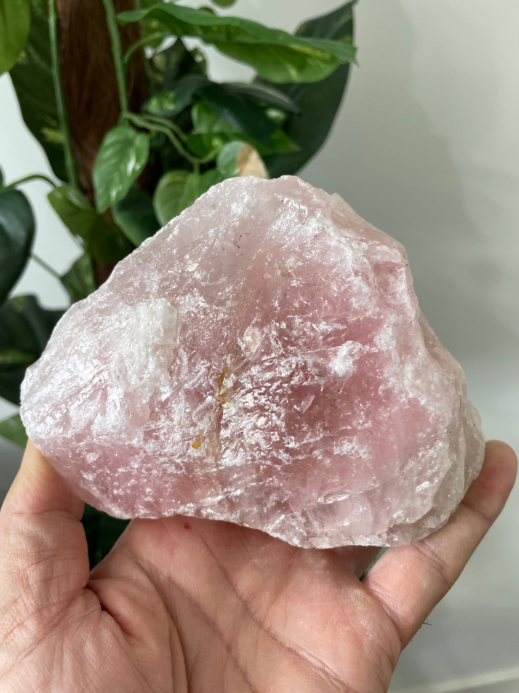 Rose Quartz Raw Crystal  RQ047