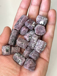 Natural Raw Ruby Crystals (Small) R006 x 1