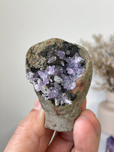 Load image into Gallery viewer, Amethyst Geode Miniature Natural Crystal Rare A413
