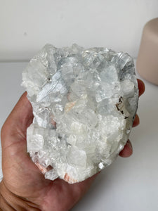 Apophyllite Natural Cluster AP763a