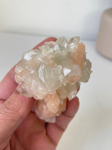 Pointed Apophyllite with Stilbite Cluster AP660a