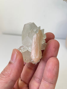 Pointed Apophyllite with Stilbite Cluster AP665a