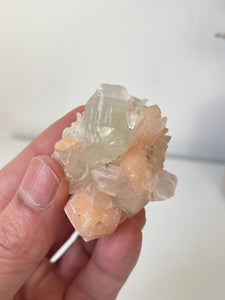 Pointed Apophyllite with Stilbite Cluster AP667a