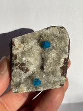 Load image into Gallery viewer, Cavansite Rare Crystal CV009
