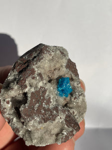 Cavansite Rare Crystal CV010