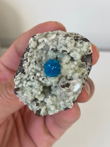 Cavansite Rare Crystal CV011