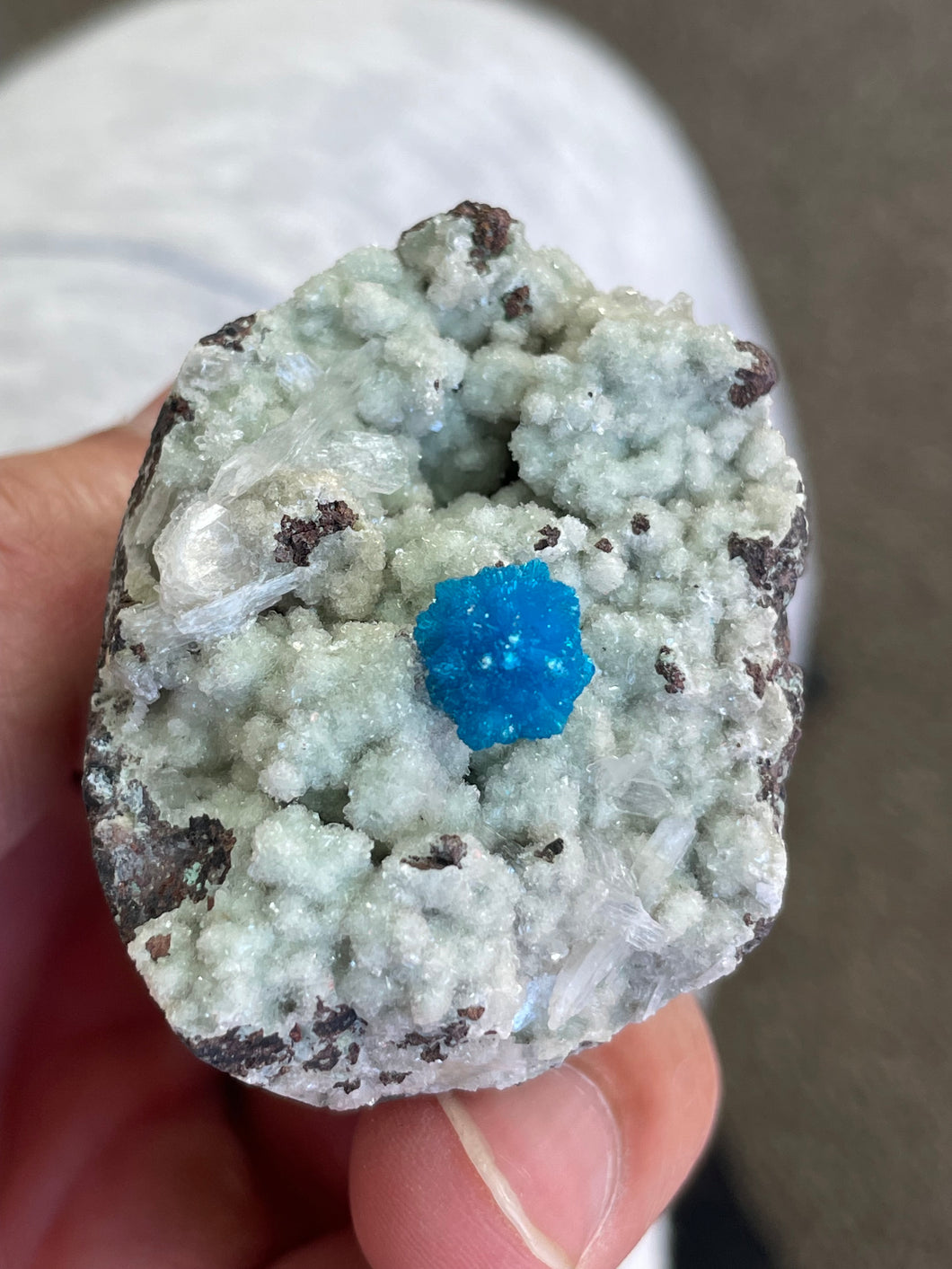 Cavansite Rare Crystal CV011