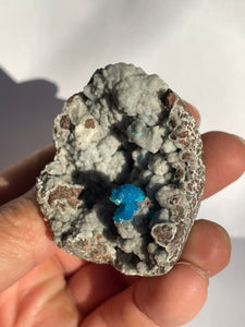 Cavansite Rare Crystal CV015